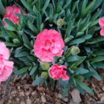 스크린샷 2025-05-07 오후 4.15.46