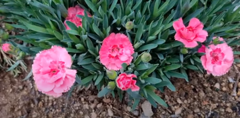 스크린샷 2025-05-07 오후 4.15.46