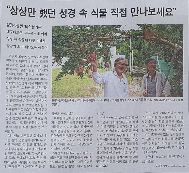 catholicnews2