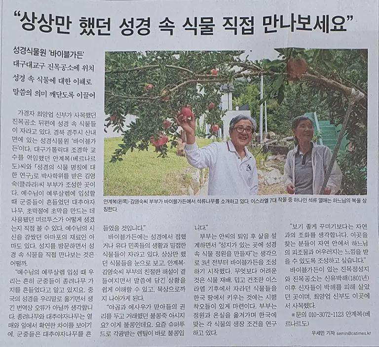 catholicnews2