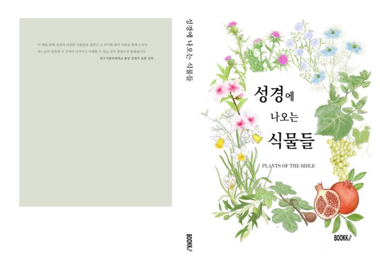 표지a