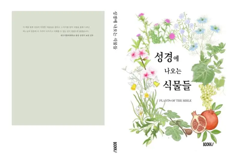 표지a